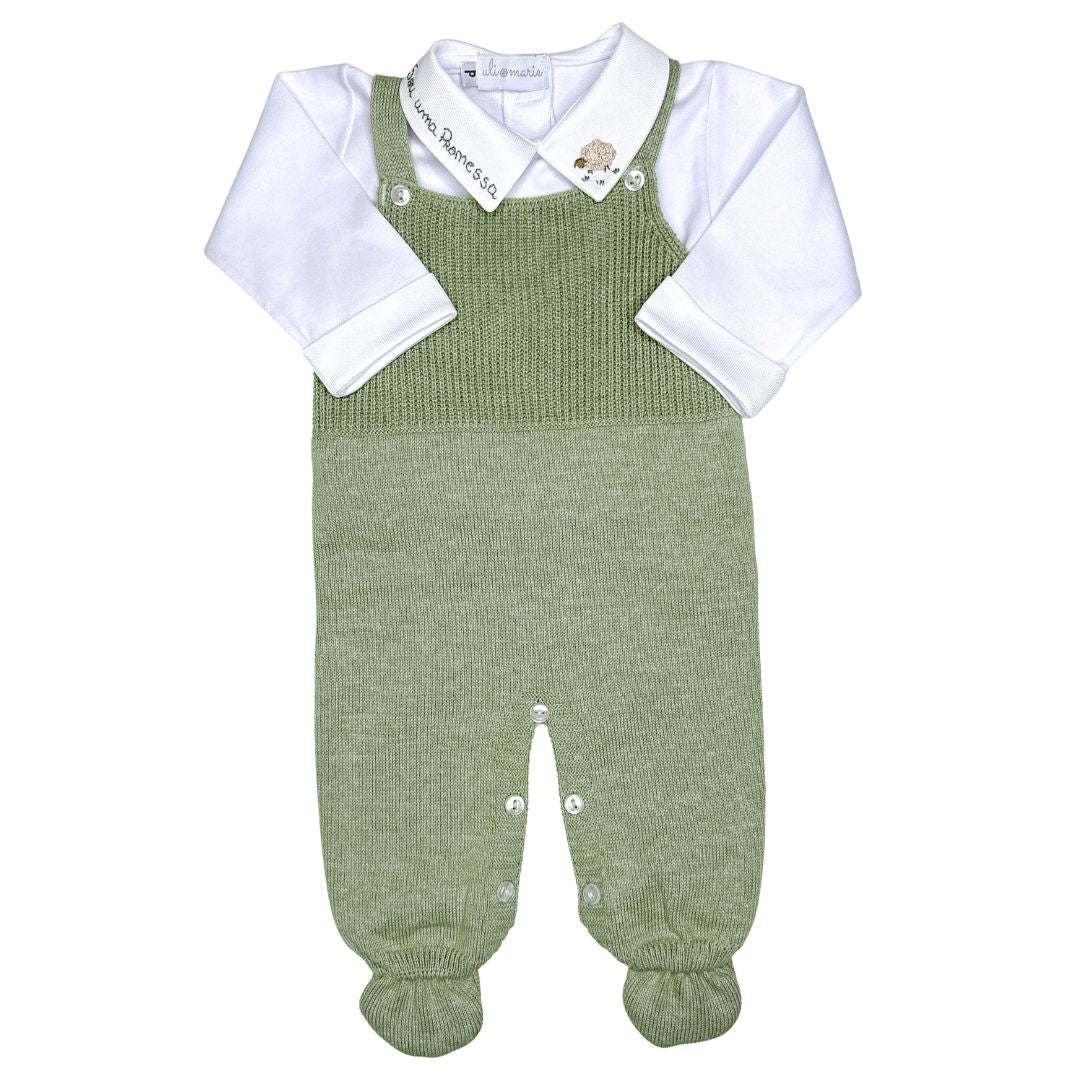 Saída Maternidade Promessa (3)