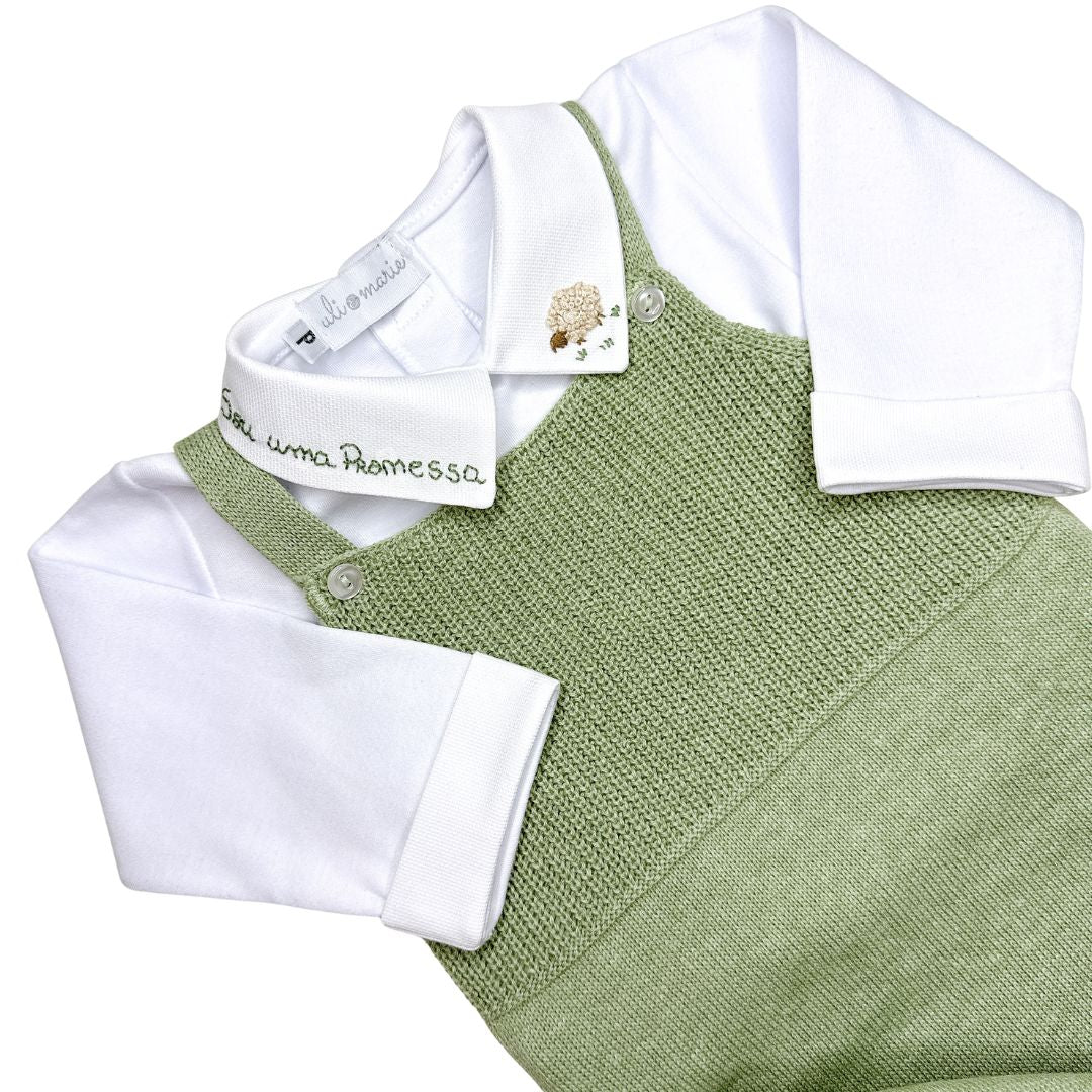 Saída Maternidade Promessa (4)