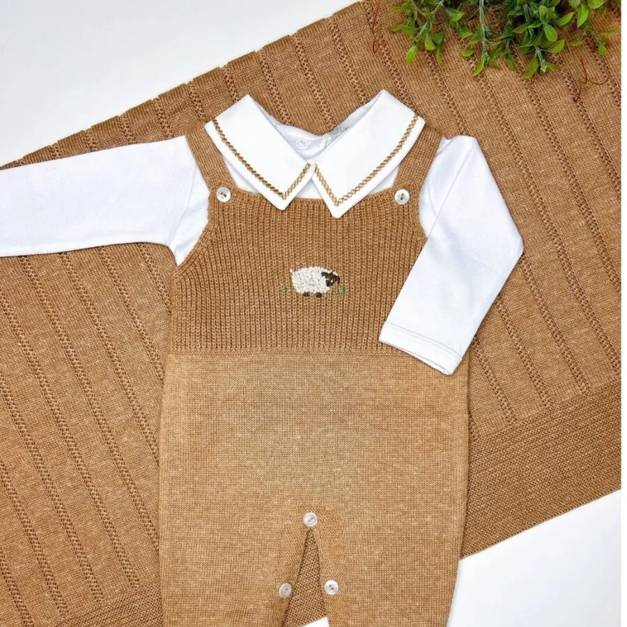 saida-maternidade-ovelha-caramelo