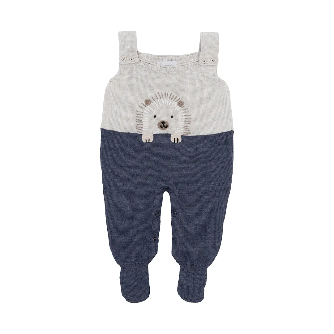 jardineira-porco-espinho-gelo-azul-indigo