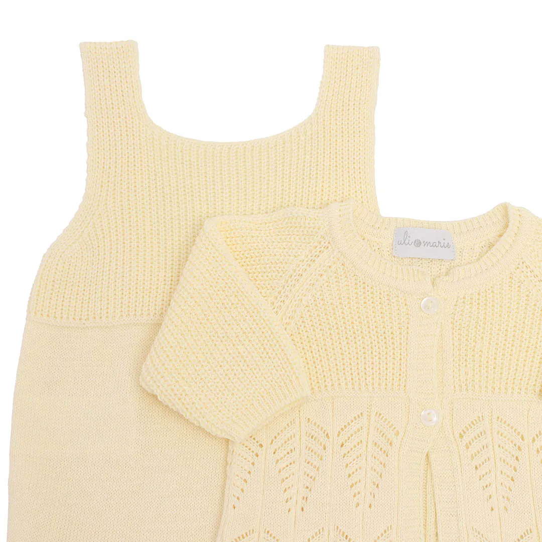 saida-maternidade-folhagem-amarelo-bebe1